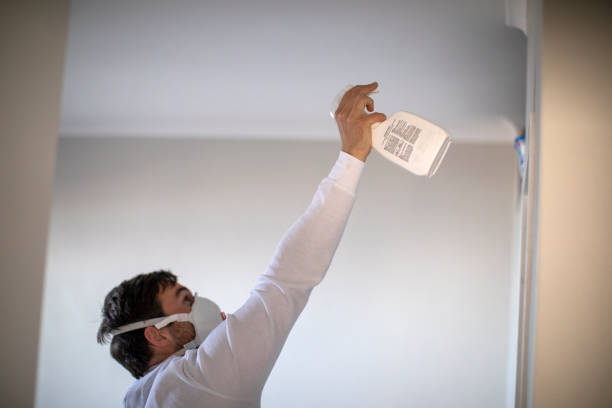 Best Industrial Mold Remediation in Waynesville, OH