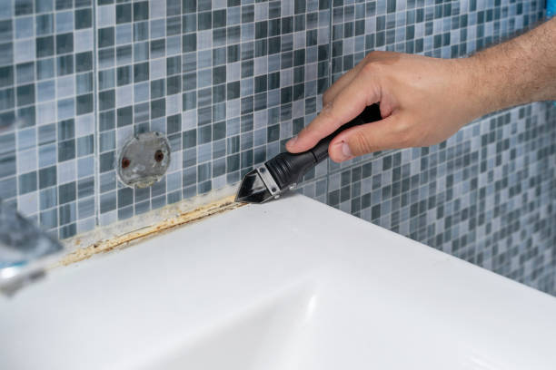 Best Emergency Mold Remediation in Waynesville, OH